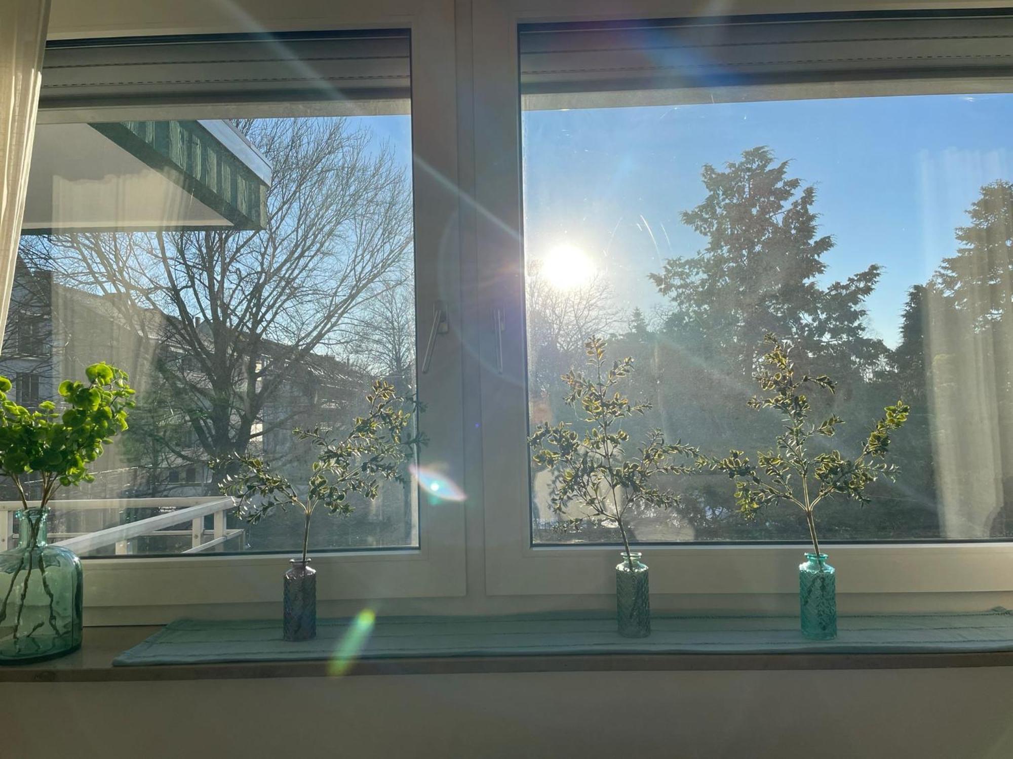 Ideale Unterkunft In Duesseldorf-Nord Buitenkant foto